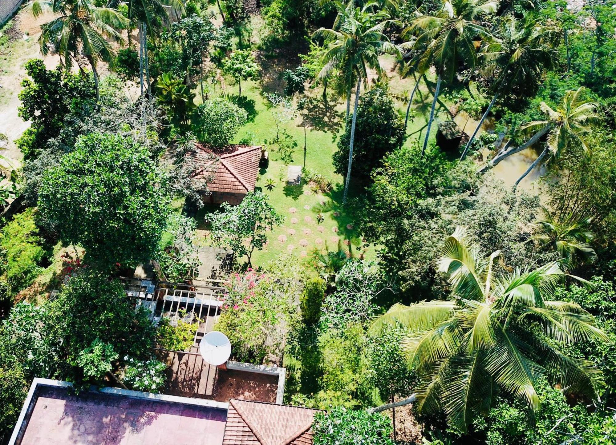 Swarnapaya Residence Bentota Buitenkant foto